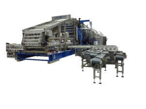 Continuous rotary sterilizer